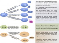 /album/antonio-ascens%c3%a3o/quality-control-fuss-fiss-jpg/